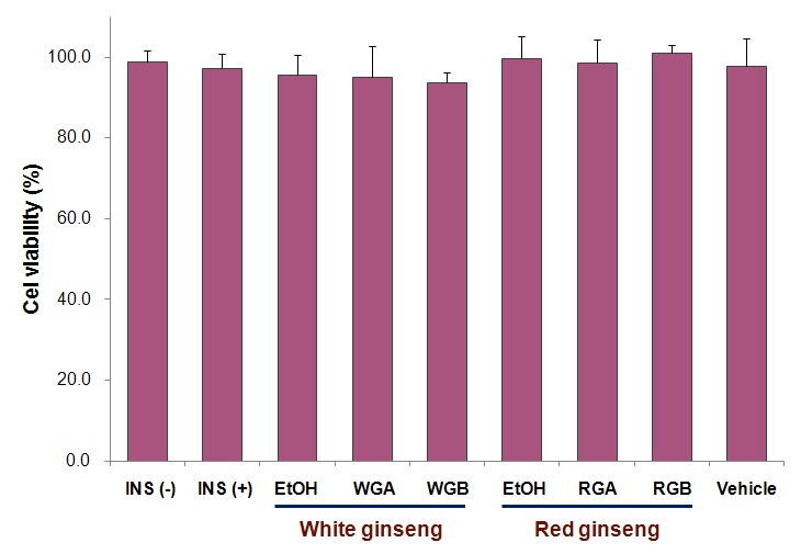 그림 2. 3T3 L1에서의 백삼과 홍삼 추출물의 세포독성 실험