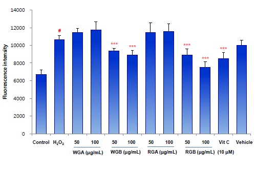 그림 11. 간세포(HepG2)의 reactive oxygen species(ROS) 생성 변화