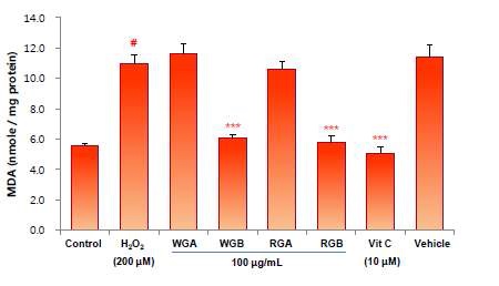 그림 13. 간세포(HepG2)의 malondialdehyde(MDA) 생성 변화