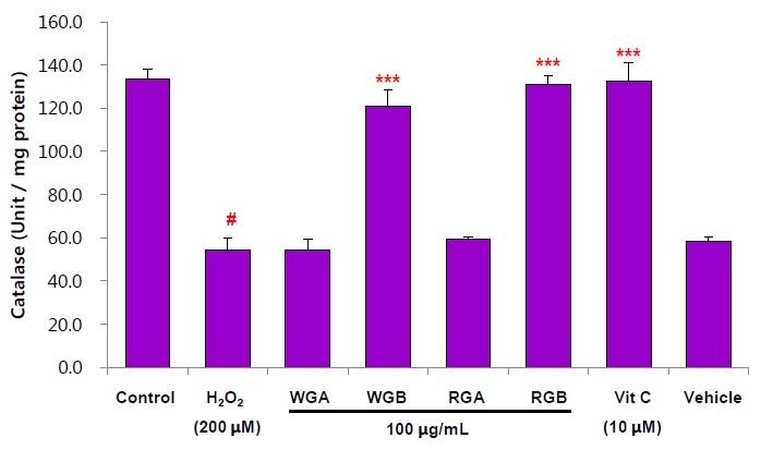 그림 19. 간세포(HepG2)에서 인삼 추출물 처리에 의한 catalase 활성