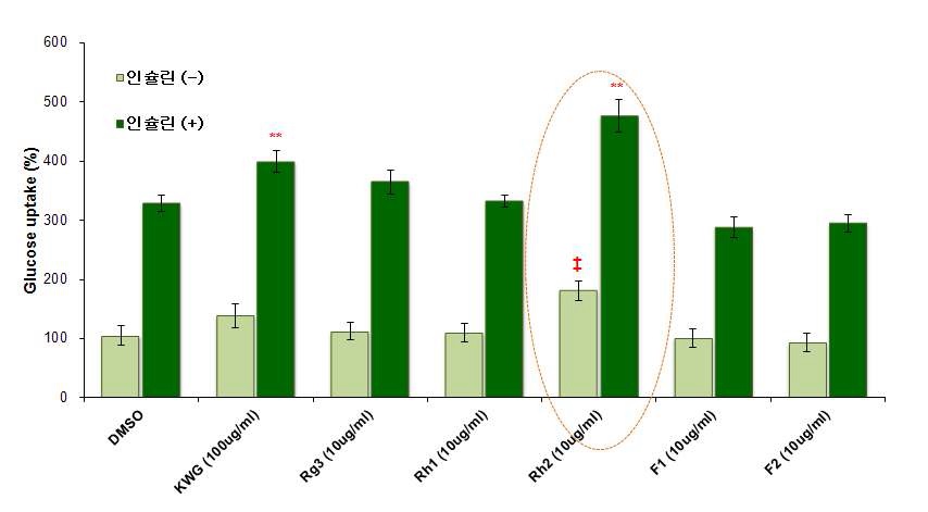 그림 31. 근육세포을 이용한 인슐린 반응성 glucose uptake 측정