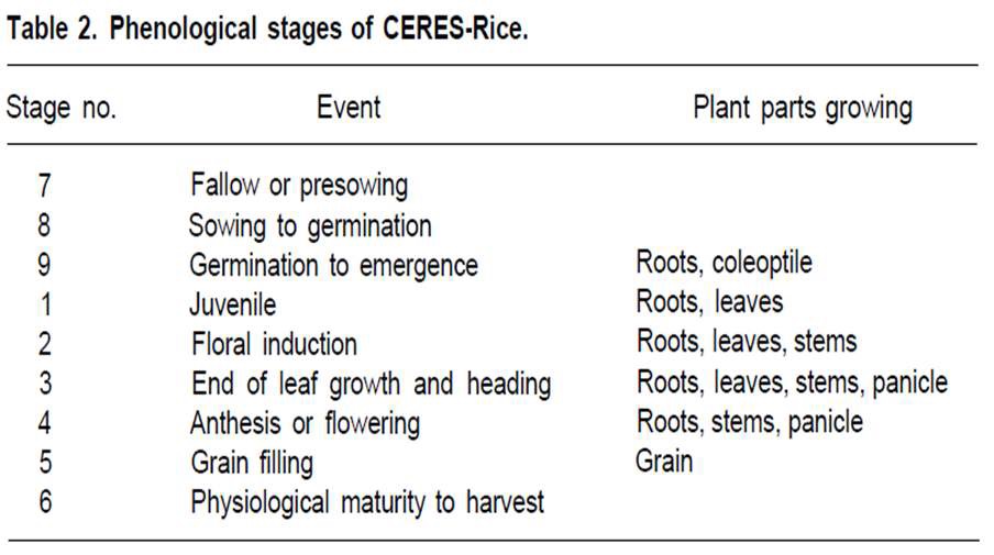 그림 16 CERES-Rice 모델에서의 생물 계절학적 단계