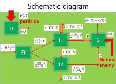그림 22 Rice-farm에 적용되는 논 생태계 수리모델의 Schematic diagram