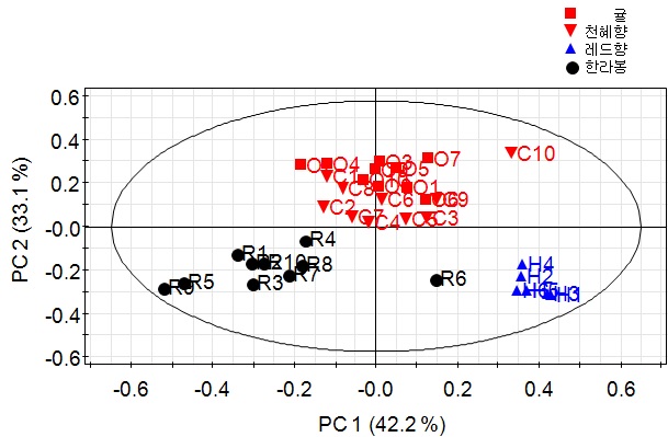 그림 7(b). 성숙과 귤, 한라봉, 천혜향, 레드향 과피 수용성 추출물 시료 PCA 기반 score plot (Pareto scaling)