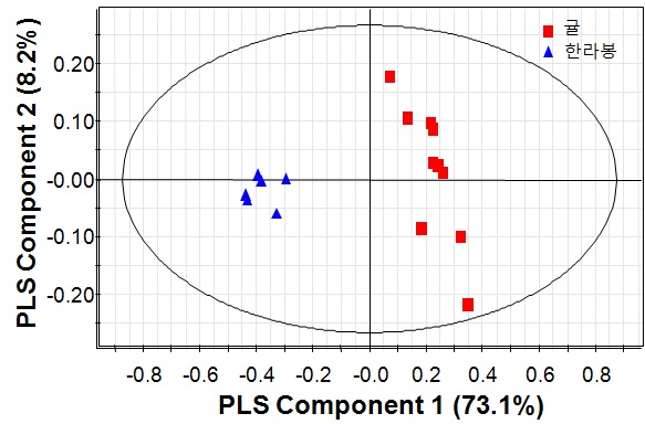 그림 9(a). 귤, 한라봉 과피 수용성 추출물 시료 PLS-DA 기반 score plot