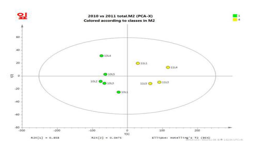 그림 21(a). 2010, 2011년도 달맞이꽃 잎 시료 PCA 기반 score plot