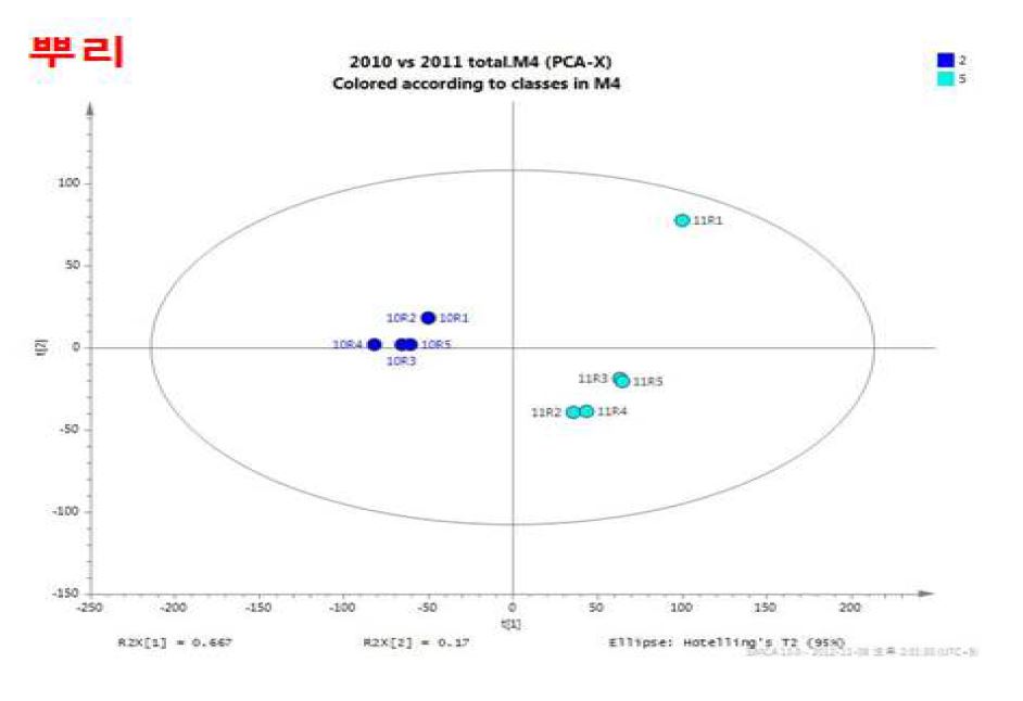 그림 21(c). 2010, 2011년도 달맞이꽃 뿌리 시료 PCA 기반 score plot