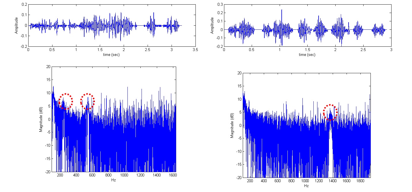 Fig. 7. Recording sound of courtship of Liriomyza trifolii male