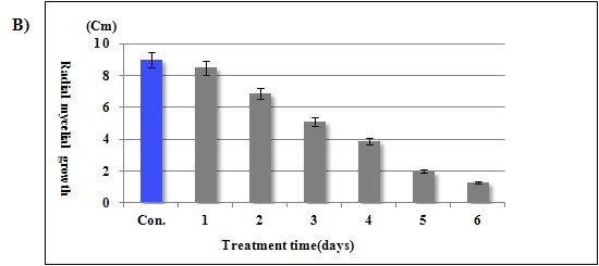 Fig. 11. Inhibitory effects of sound waves on B. cinerea mycelia growth