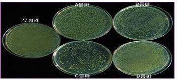 Fig. 21. Inhibition of colony formation of E. coli by sound treatment