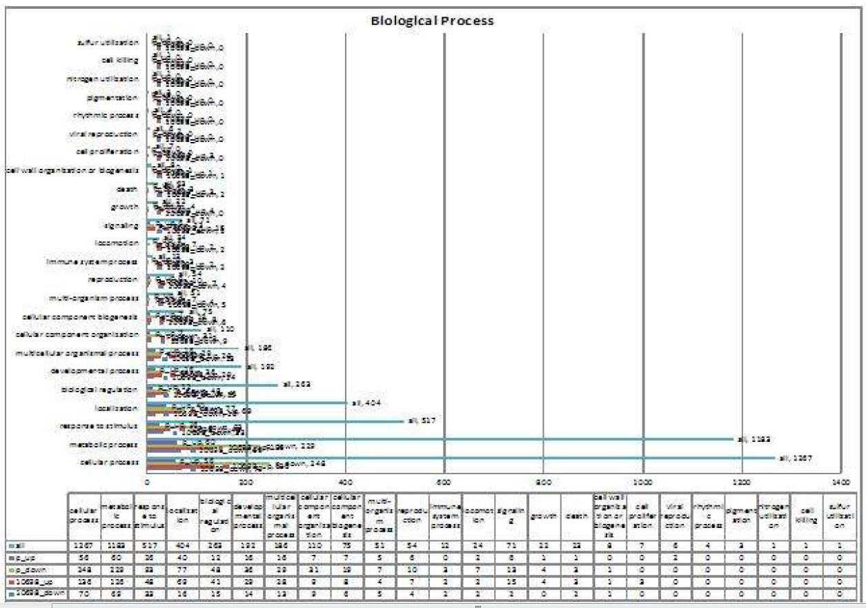 Fig. 24. Biological process related gene expression pattern of P. syringae and R. solanacearum after sound treatment. P: P. syringae, 10698:R. solanacearum.