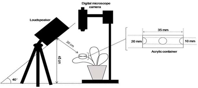 Fig. 26. Observation system of behavior