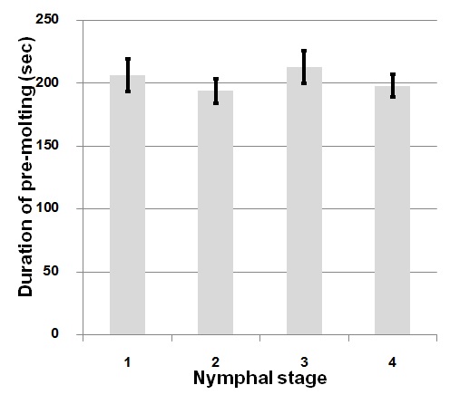 Fig. 28. Duration pre-molting time of each nymphal stage