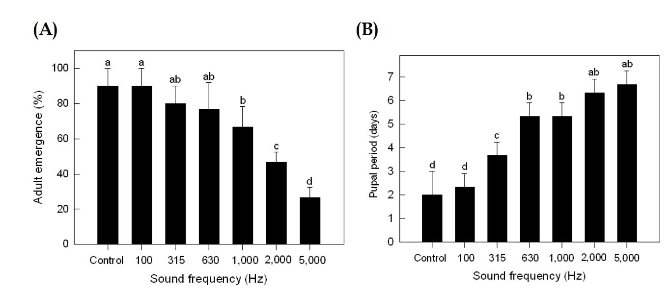 Fig. 37. Effect of sound treatment on pupal development of Liriomyza trifolii. Newly molted pupae were exposed to sound treatments until adult emergence