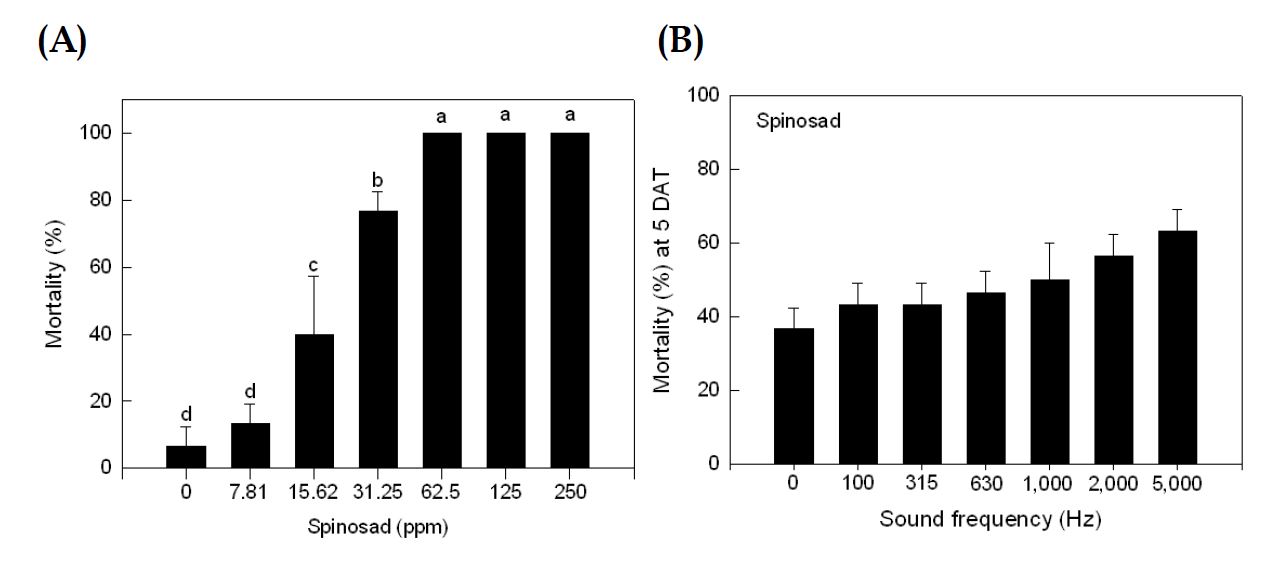 Fig. 42. Effect of different sound treatments on an insecticide susceptibility of Liriomyza trifolii