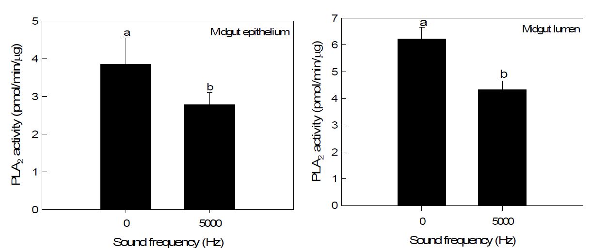 Fig. 51. Change in enzyme activity of phsopholipase A2 (PLA2) of midgut epitheli um and lumen of fifth instar larvae of Spodoptera exigua in response to a stress so und treatment (5,000 Hz, 95 dB) for 24 h. Proteins were separated on two dimensio nal electrophoresis