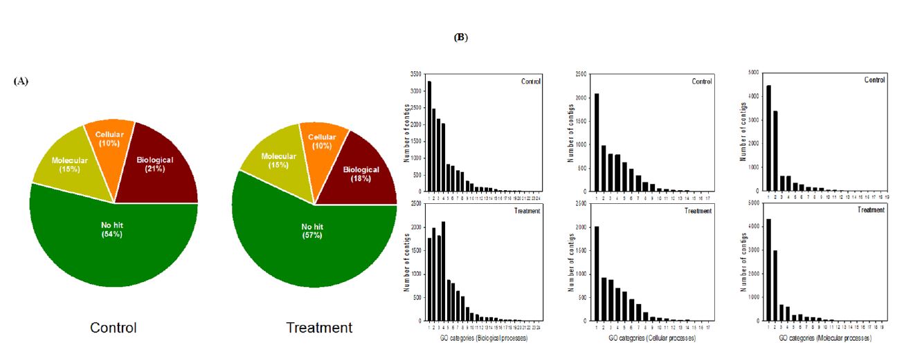 Fig. 53. Annotation and gene ontology (GO) analysis of transcripts resulted from stress sound treatment on pupae of Liriomyza trifolii. (A) Comparison of functional groups between control and treatment. (B) Comparison of subfunctional groups between control and treatment