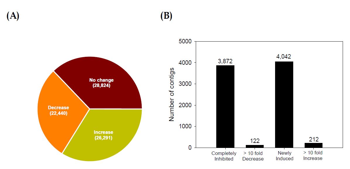 Fig. 54. Comparison of transcript levels between control and treatment of stress sound (5,000 Hz, 95 db) on pupae of Liriomyza trifolii. (A) Overall view (B) Number of contigs showing major differences