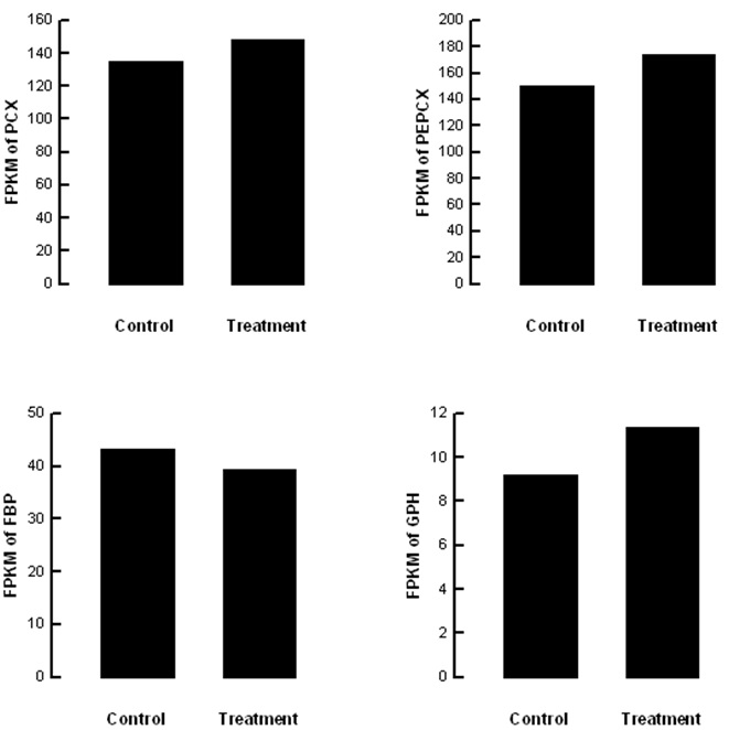 Fig. 58 Effect of stress sound (5,000 Hz, 95 db) on gluconeogenesis metabolic pathway of Liriomyza trifolii