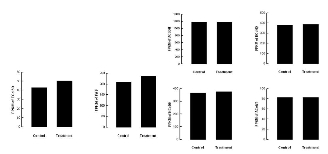 Fig. 59. Effect of stress sound (5,000 Hz, 95 db) on fatty acid metabolic pathway of Liriomyza trifolii.