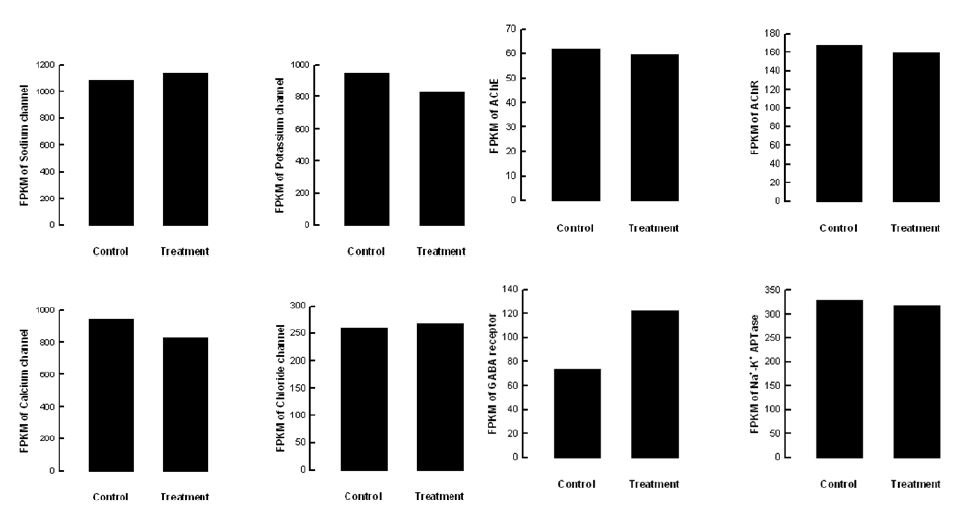 Fig. 61. Effect of stress sound (5,000 Hz, 95 db) on nervous system of Liriomyza trifolii.