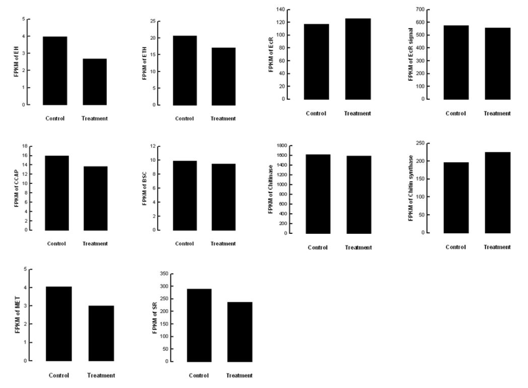 Fig. 62. Effect of stress sound (5,000 Hz, 95 db) on genes associated with metamorphosis of Liriomyza trifolii.