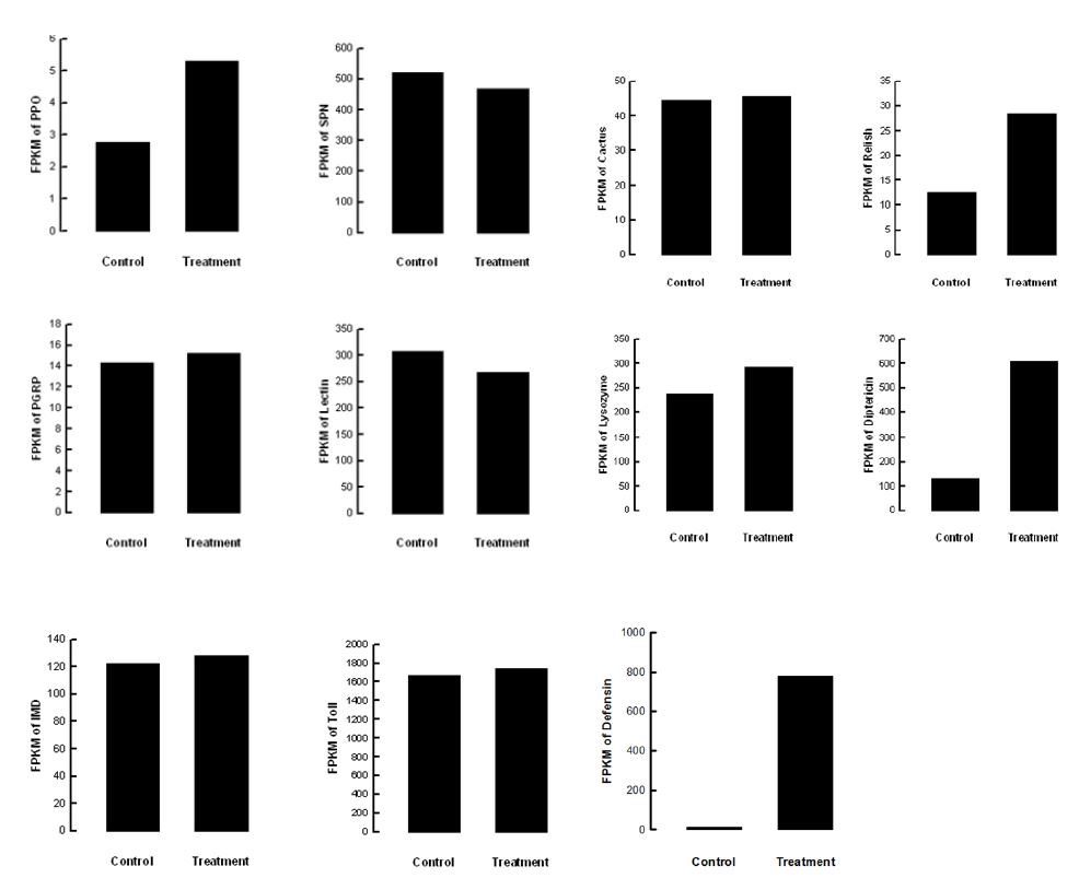 Fig. 63. Effect of stress sound (5,000 Hz, 95 db) on genes associated with immune system of Liriomyza trifolii.