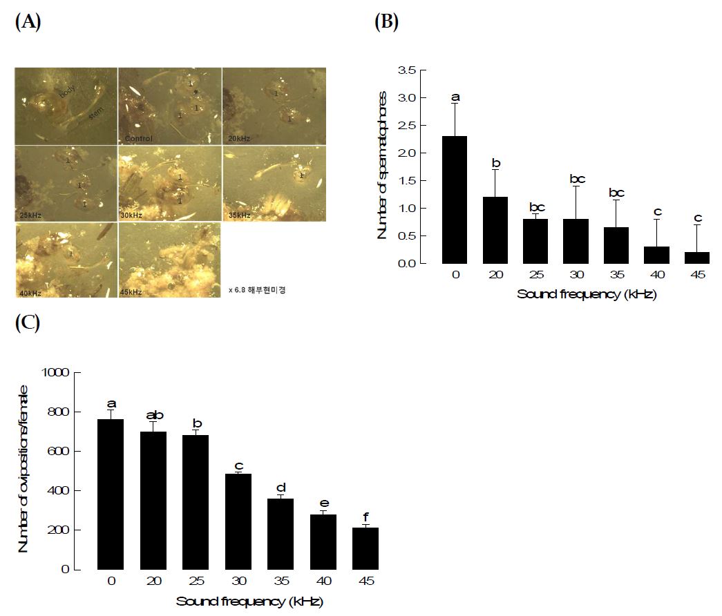 Fig. 68. Effect of ultrasound treatment on mating frequency of Spodoptera exigua.