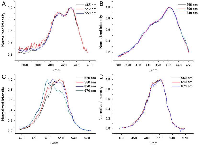 Fig. 76. Excitation spectrum (A) the fluorophore in D436 in water before hybridization; (B) the fluorophore in D436 in water after hybridization; (C) the fluorophore in D514 in water before hybridization; (D) the fluorophore in D514 in water after hybridization