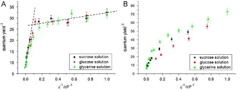 Fig. 77. Plot of the reciprocal viscosity of the solutions versus quantum yield of the (A) the fluorophore in D436; (B) the fluorophore in D514