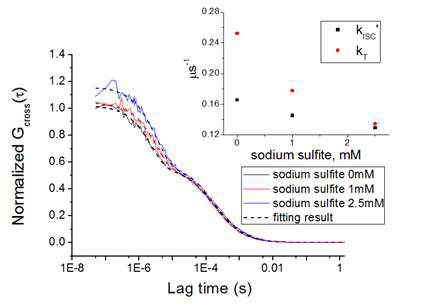 Fig. 82. FCS curve of the sample with the addition of the sodium sulfite, oxygen scavenger versus lag time. Transit time (tD) of each samples are 153±4, 160±8, and 165±10 μs for 0, 1, and 2.5 mM sodium sulfite, respectively