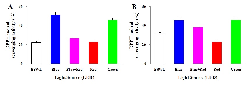 Fig. 19. The DPPH free radical scavenging activity in shoots of blue-lettuce (A) and red-lettuce (B) under different LED treatment