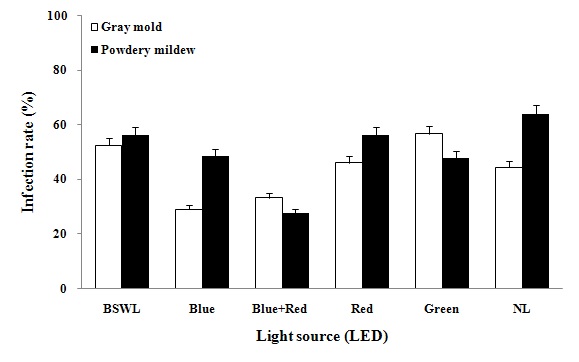 Fig. 27. Infection rate of lettuce leaves after gray mold and powdery mildew diseases inoculation in a greenhouse
