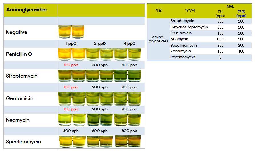 최적화 조건에 기반한 aminoglycoside 항생제에 대한 검출능
