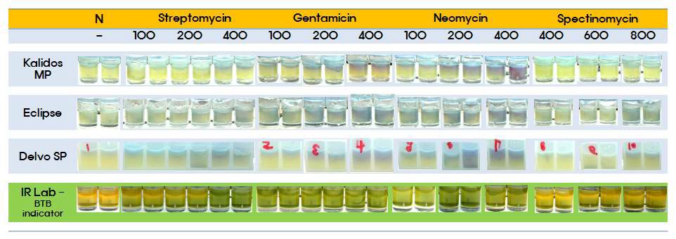 상용 검출 킷과의 aminoglycoside 항생제에 대한 검출능 비교