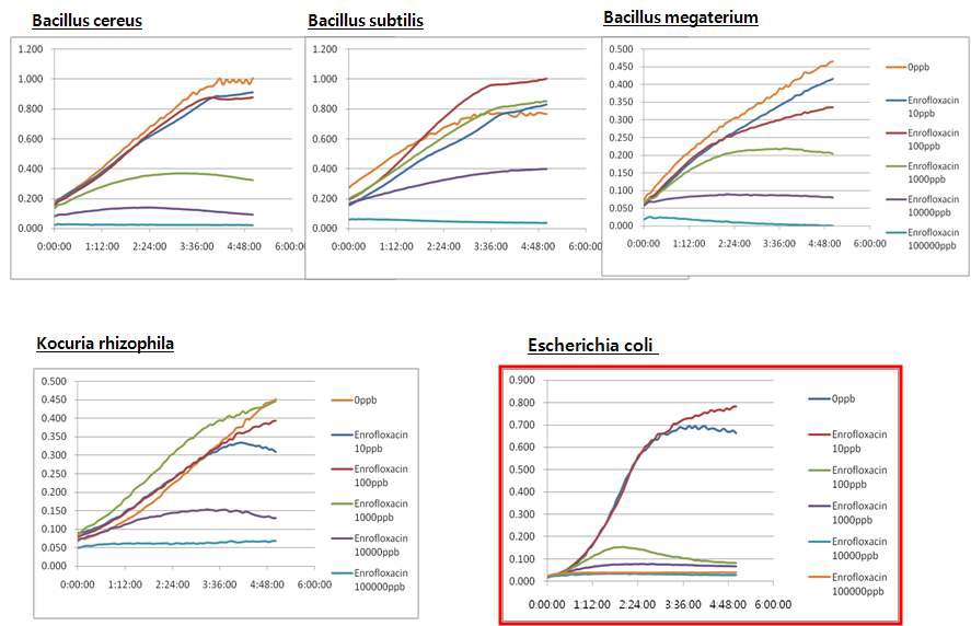여러 균주의 enrofloxacin 생장억제 곡선