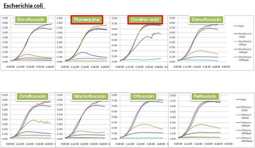 Escherichia coli ATCC 11303을 이용한 quinolone 항생제 생장억제 곡선