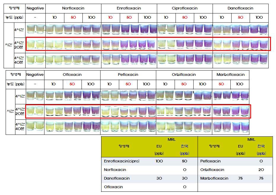 Quinolone 항생제 검출능 확보를 위한 킷 조건 설정