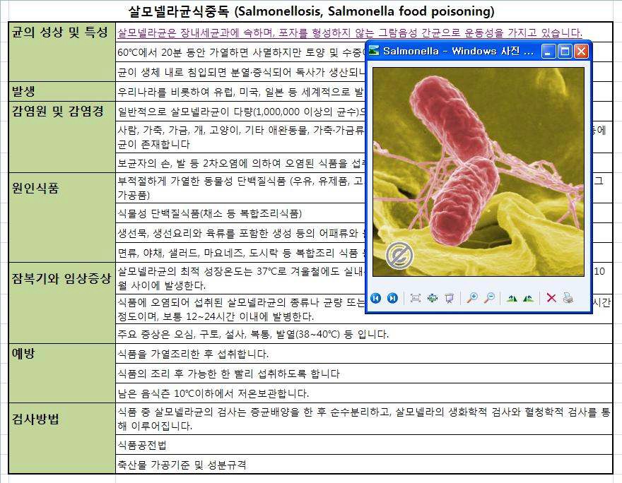 데이터베이스의 세부정보