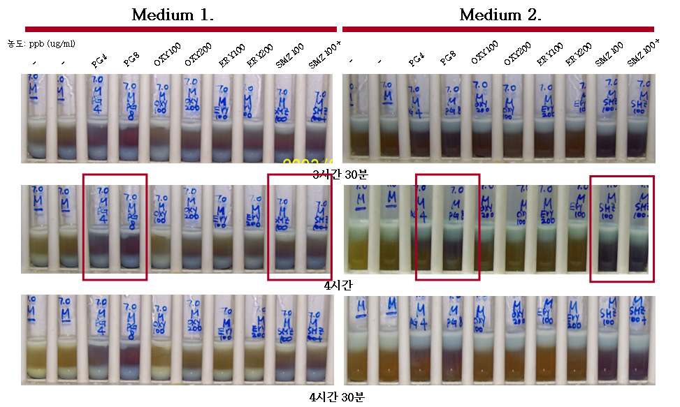 배양 배지에 따른 감도 및 반응시간의 확인