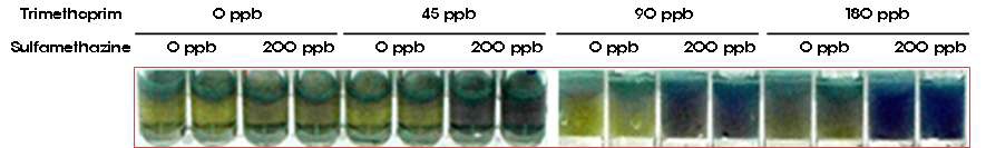 Trimethoprim 농도에 따른 sulfamethazine 감도의 변화