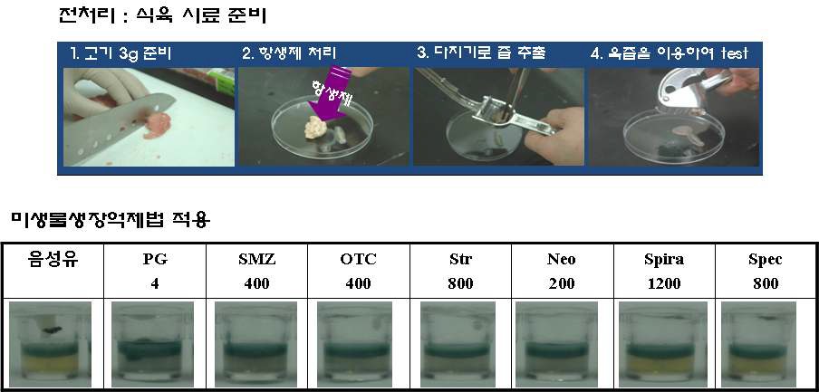 식육 침출액을 이용한 항생제 검출