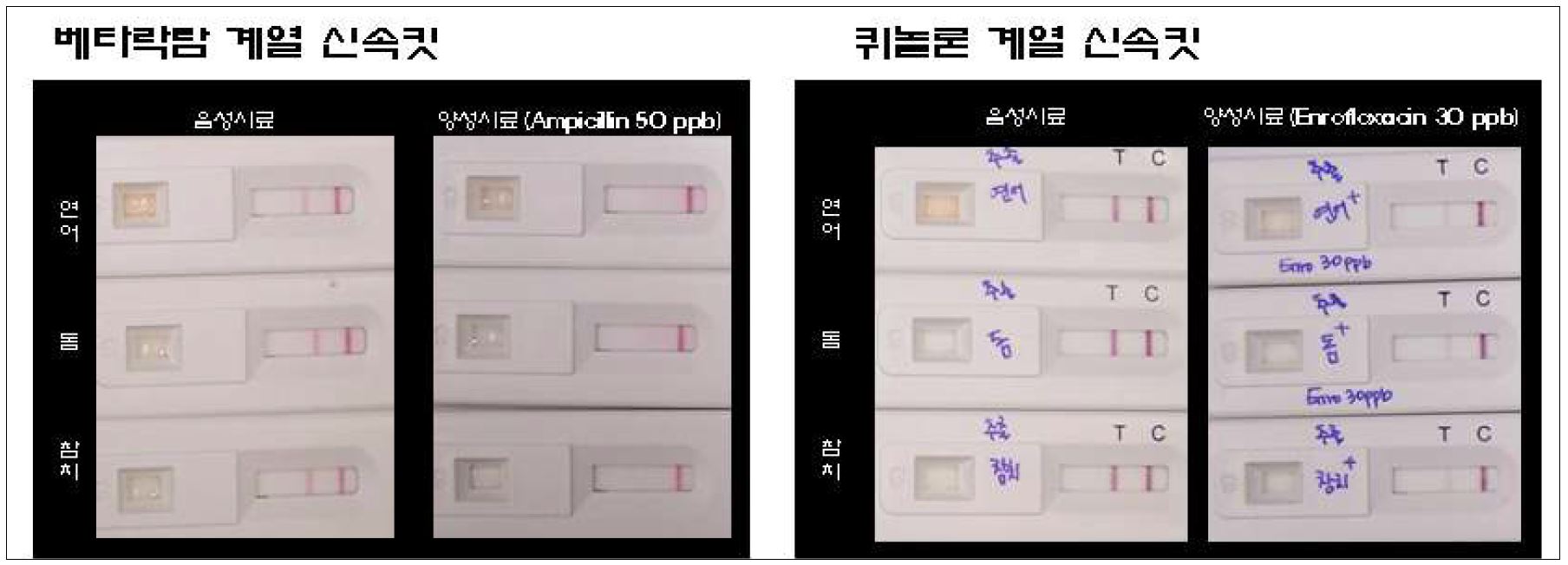 어육 시료에 대한 베타락탐계 신속킷과 퀴놀론계 신속킷의 적용