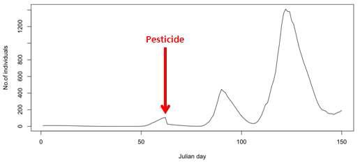 초기 발생 피크 시기(330 DD)에 농약 살포 효과 시뮬레이션