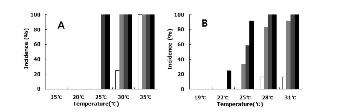 전염원 농도(4×105, 4×104, 4×103, 4×102 cfu/ml)와 온도(19, 22, 25, 28, 31℃)에 따른 고추 풋마름병 발병률