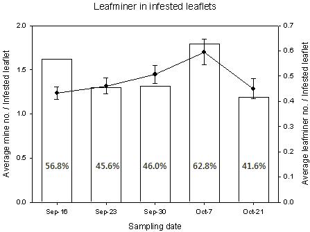 2011년 충남포장의 아메리카잎굴파리에 감염된 토마토 엽의 갱도수 및 갱도내 유충의 비율.