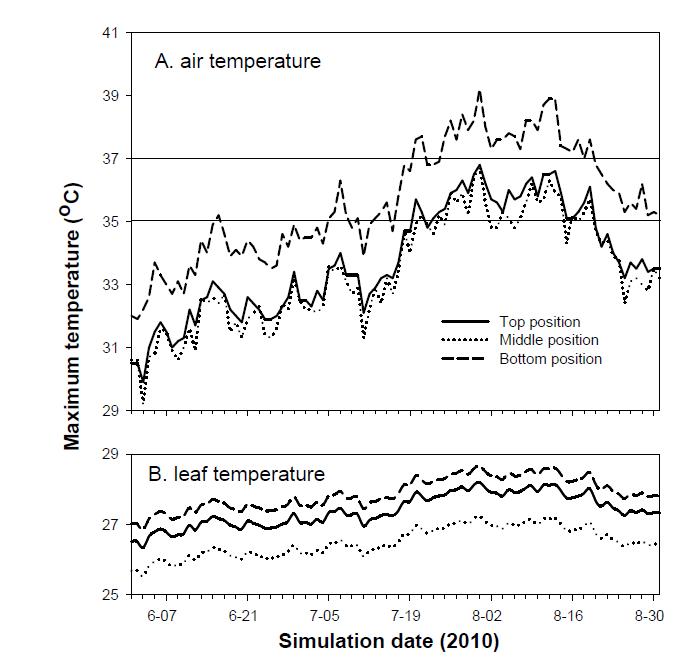 온실내 방울 토마토 잎 위치별 대기 중 최고 온도(A)와 잎 표면 최고 온도(B).