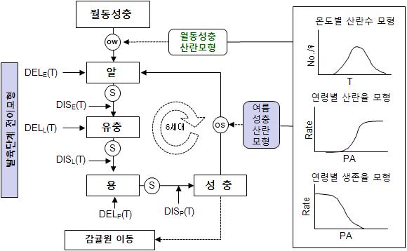 볼록총채벌레 개체군 모형의 구조