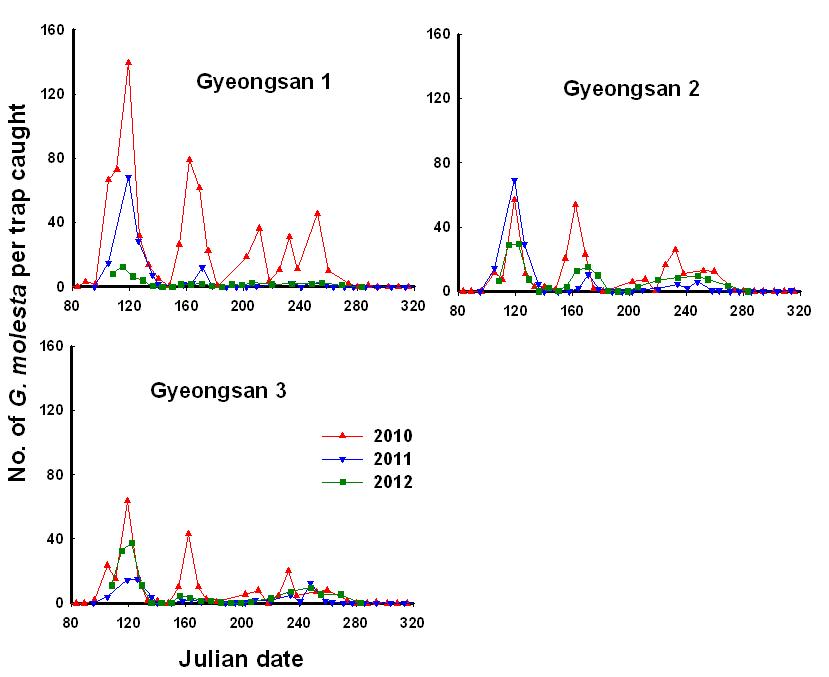 경산 복숭아과수원 복숭아순나방 과원별 발생패턴.