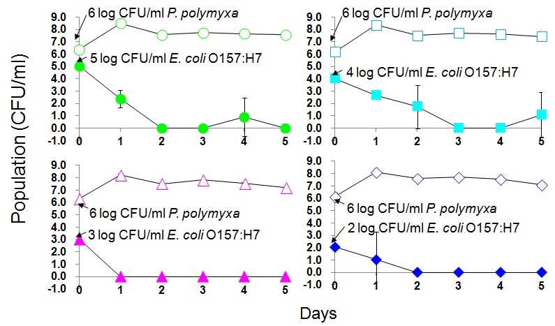 Fig. 5. 액체배지에서 P. polymyxa와 E. coli O157:H7의 공동 배양 후 생존한 E. coli O157:H7의 개체수